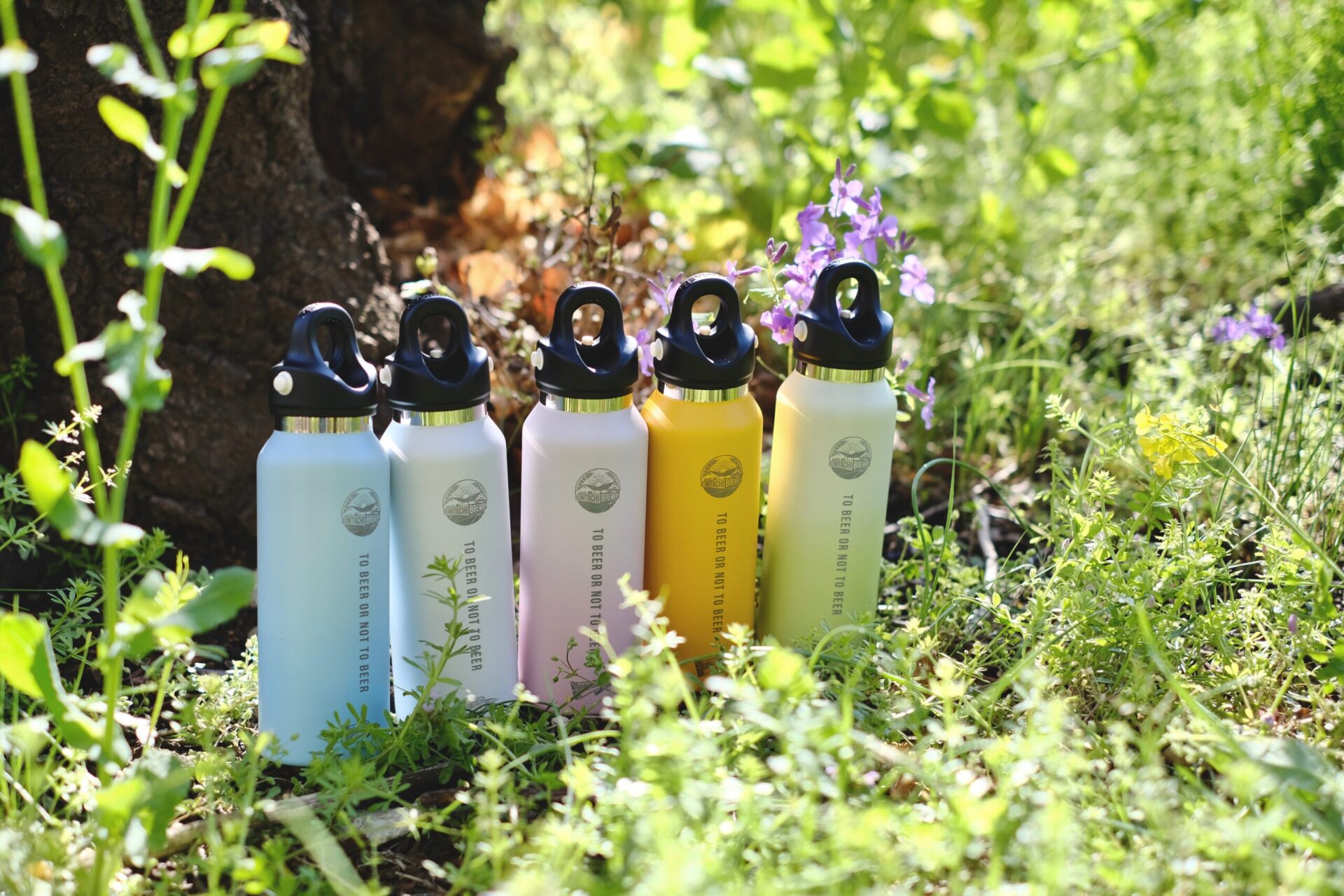 グラウラー 新色リリース kunitachibrewery